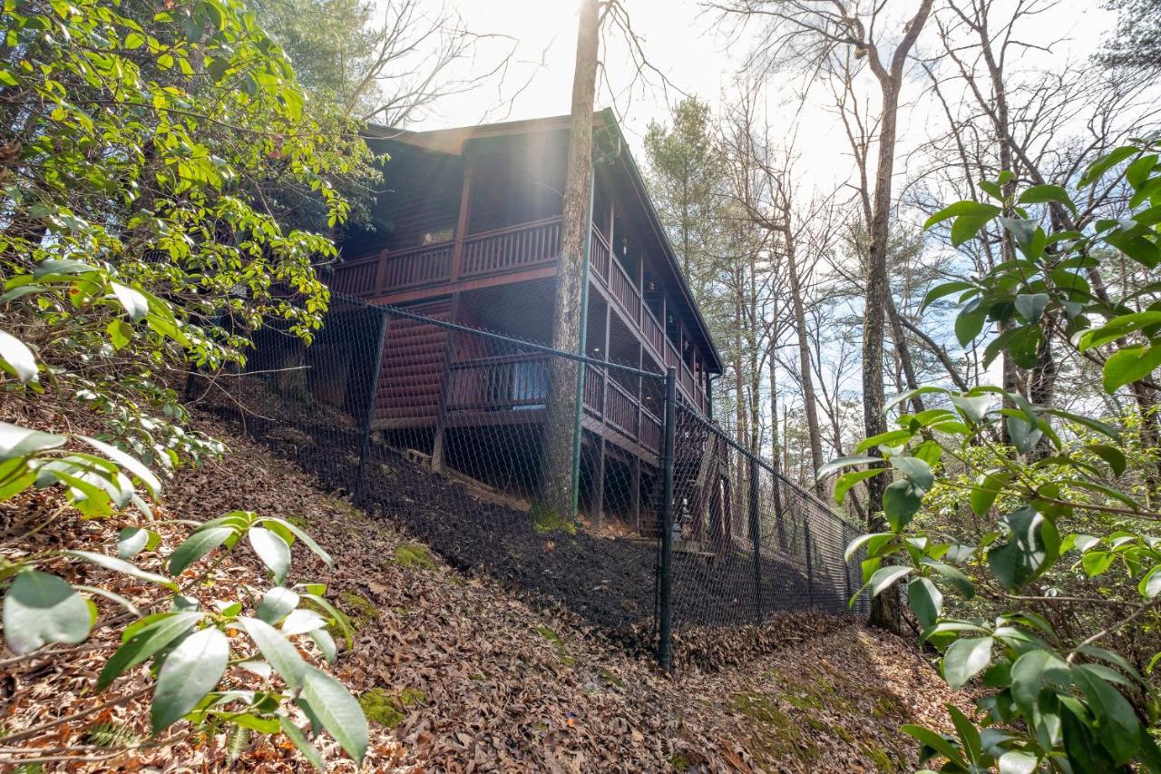 Three Dog Night - Pet-Friendly Cabin With Hot Tub Vila Blue Ridge Exterior foto