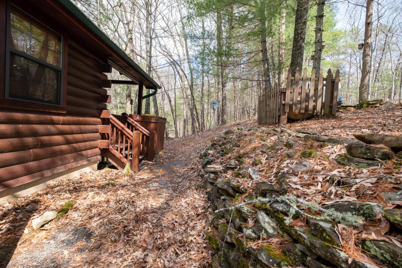 Three Dog Night - Pet-Friendly Cabin With Hot Tub Vila Blue Ridge Exterior foto